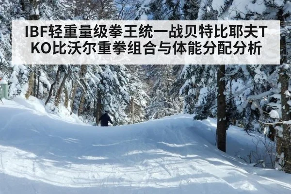 IBF轻重量级拳王统一战贝特比耶夫TKO比沃尔重拳组合与体能分配分析